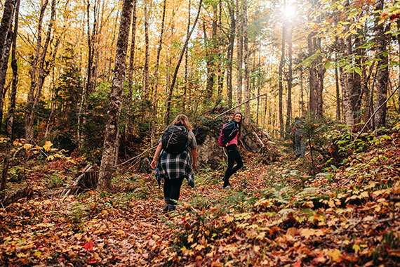 autumn hikers