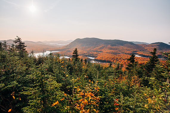 fall leaves on mountain